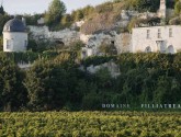 Visita los viñedos de Anjou-Saumur 