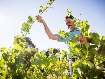 Domaine Landron Chartier