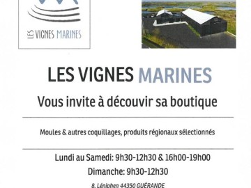 les vignes marines