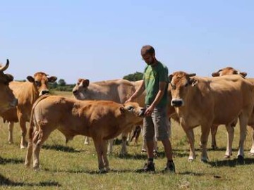 La ferme des vertes prairies