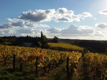 Domaine de Rochambeau