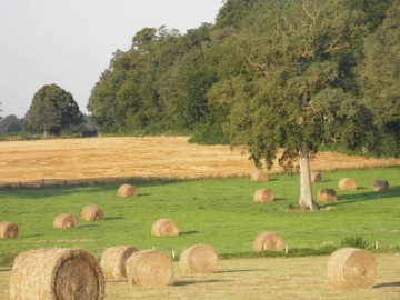 Gîtes de France 53