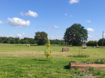 Le Gite de la Morinière