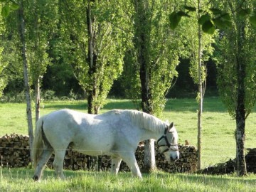 Gîtes de France Sarthe