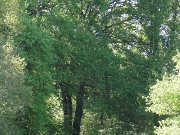 Gîtes de France Sarthe