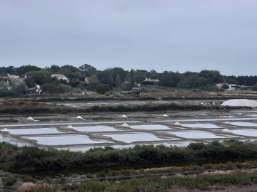 Vendée des Iles