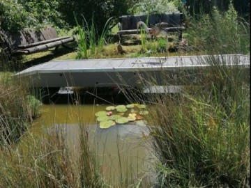 moulin de chanceau