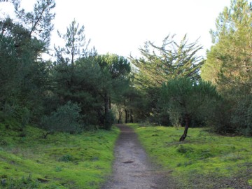 Vendée des Iles