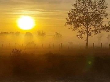 Gîtes de France Vendée