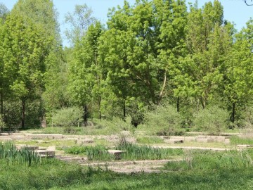 Ville d'Angers - Direction Parcs Jardins et Paysages