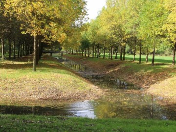 Ville d'Angers - Direction Parcs Jardins et Paysages