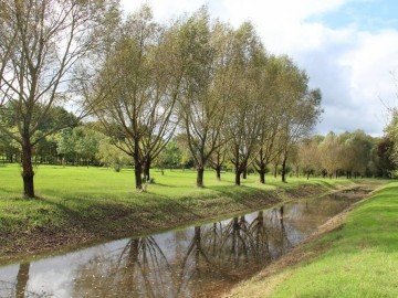 Ville d'Angers - Direction Parcs Jardins et Paysages