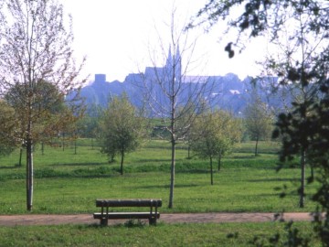 Ville d'Angers - Direction Parcs Jardins et Paysages