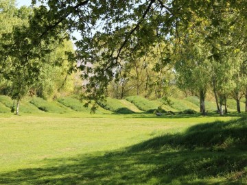 Ville d'Angers - Direction Parcs Jardins et Paysages