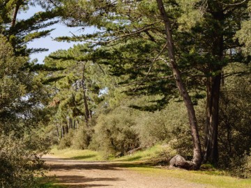 Simon Bourcier Vendée Expansion