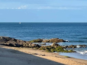 Restaurant Chez Suzon Les Sables d'Olonne