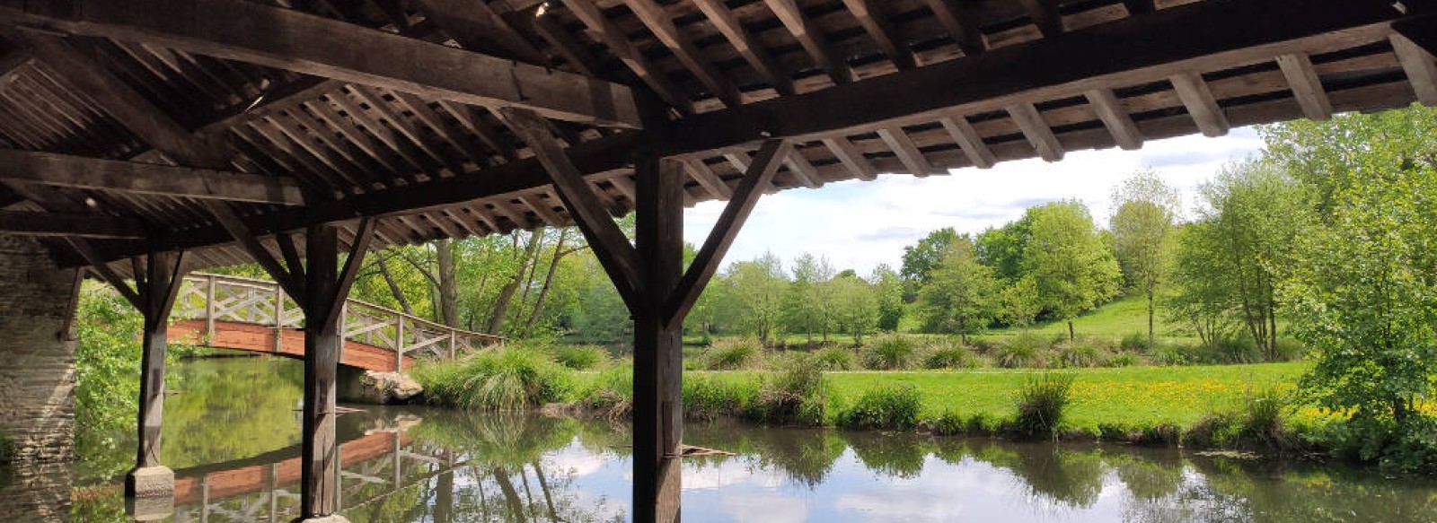 Aire du plan d'eau - Freigne