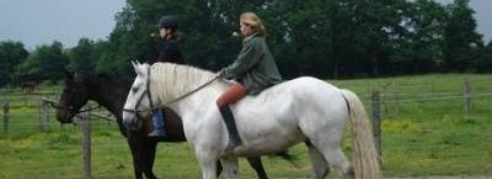 CENTRE EQUESTRE DES RONCINNIERES