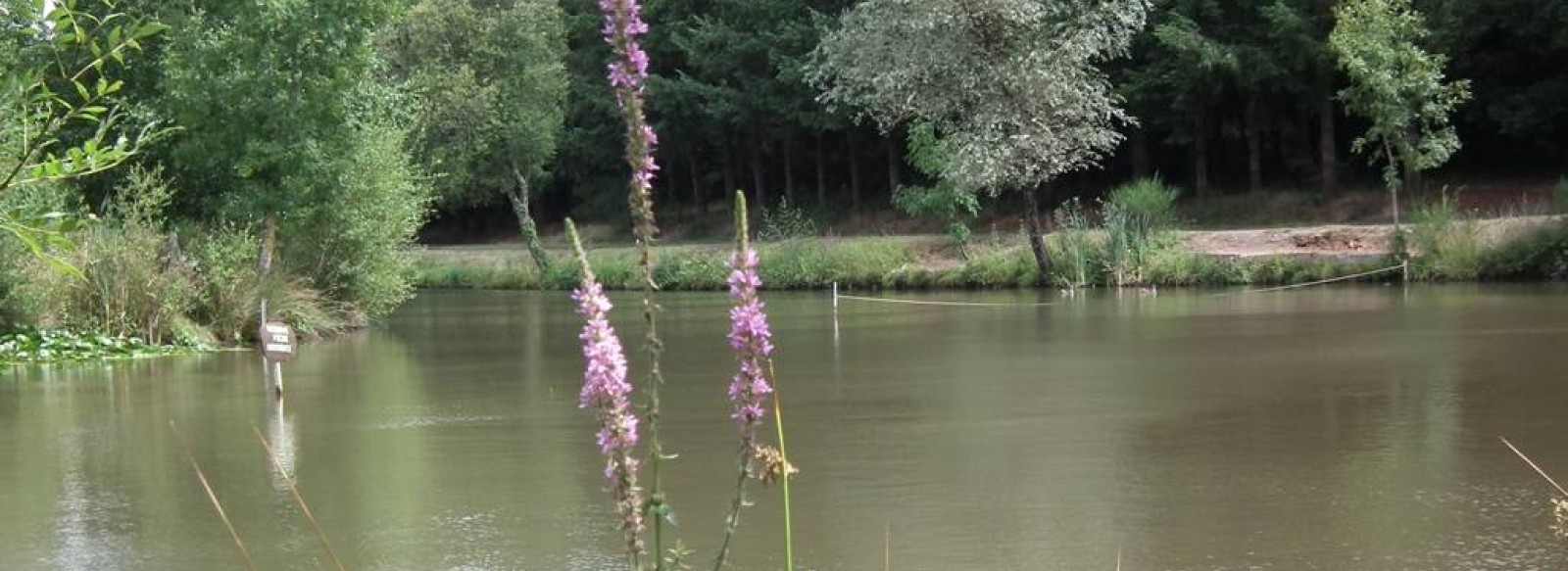 PECHE DANS L'ETANG DE LA FOUCAUDIERE