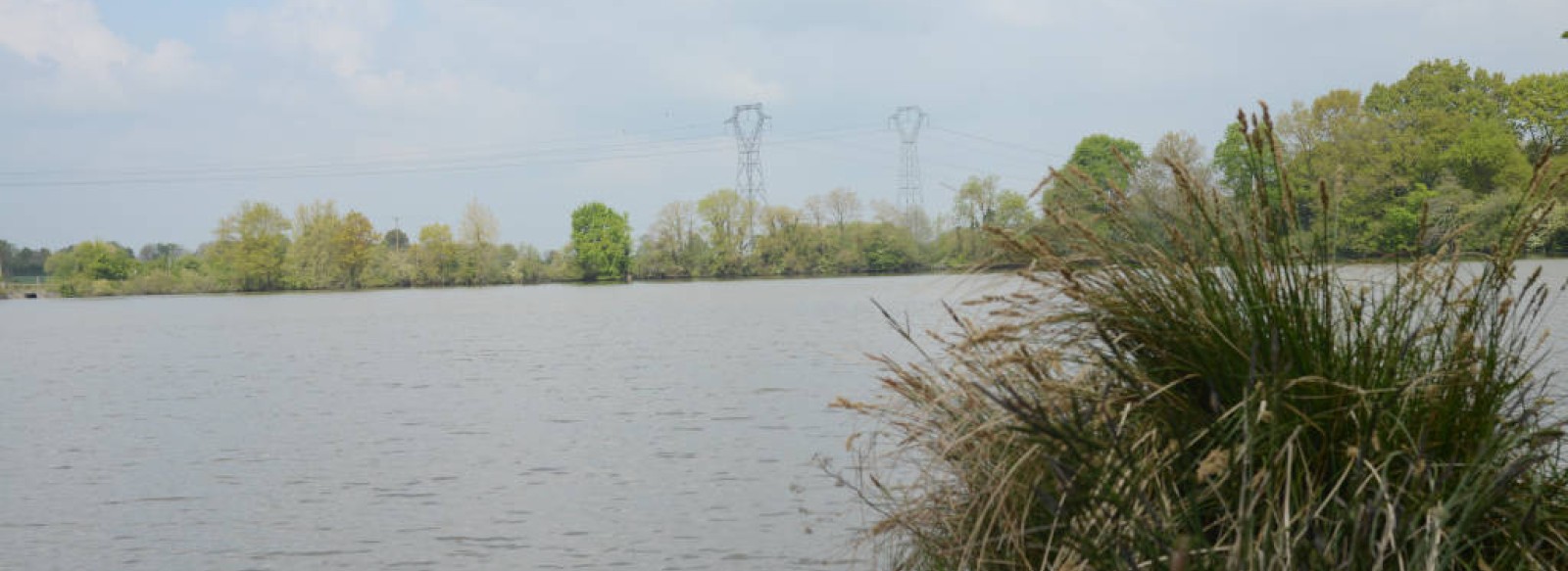 PECHE DANS L'ETANG DE LA COUDRAIE