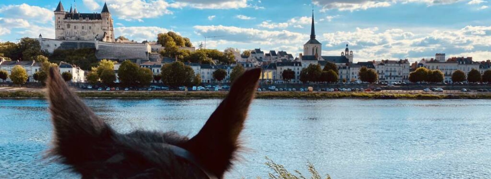 BALADE EQUESTRE SUR L'ILE D'OFFARD AVEC SAUMUR EQUIPASSION