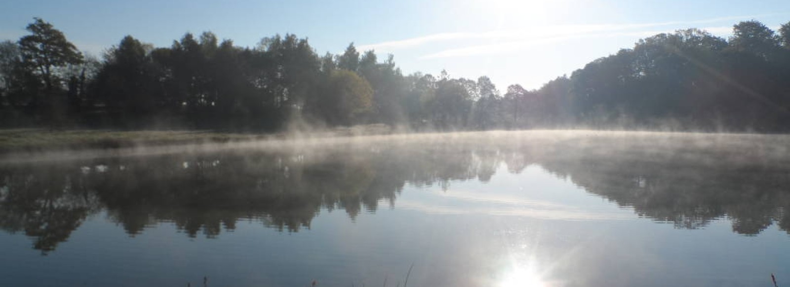 PECHE EN ETANG - FOUGEROLLES-DU-PLESSIS