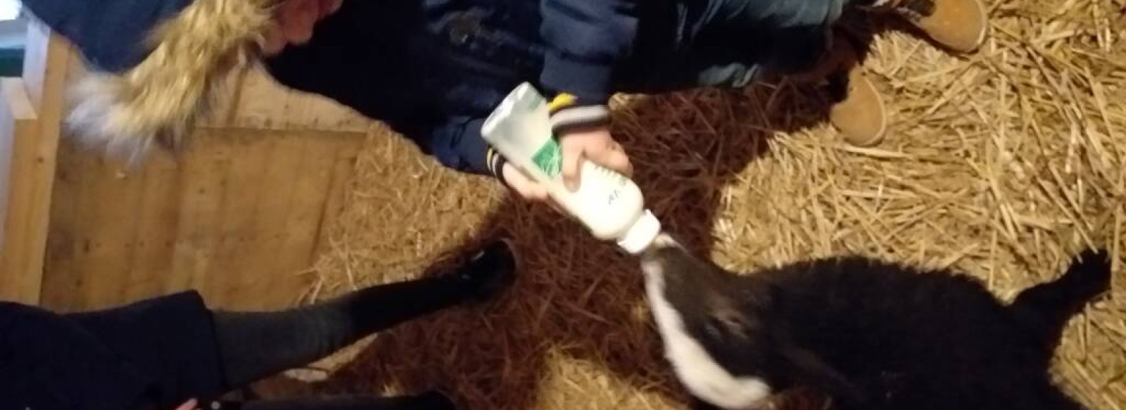 Ferme pedagogique le Moulin du Rouveau