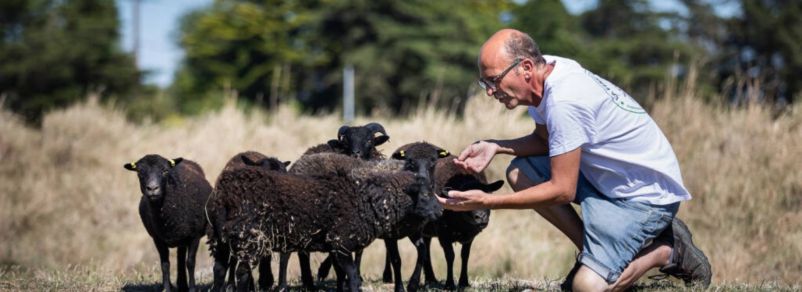 La ferme pedagogique du Fresne