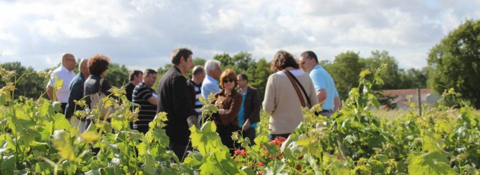 DOMAINE FLORENCE ET JOEL FORGEAU