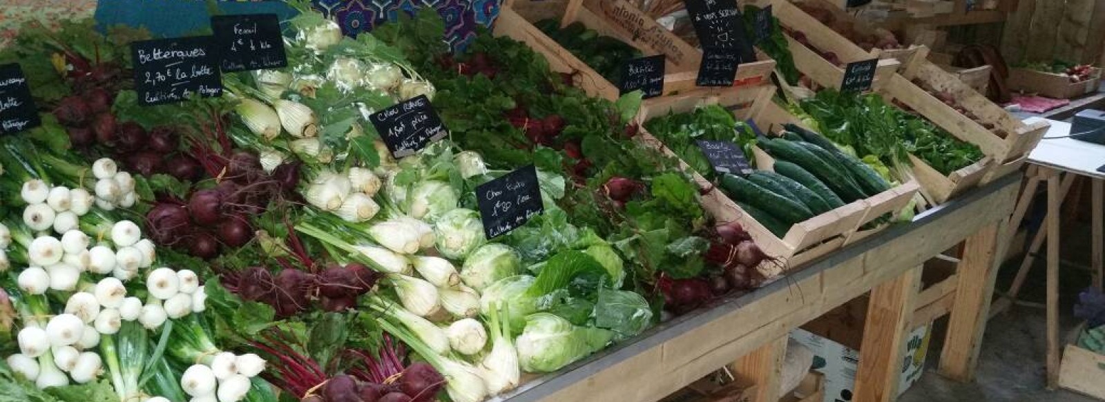 LE POTAGER DE PAULINE