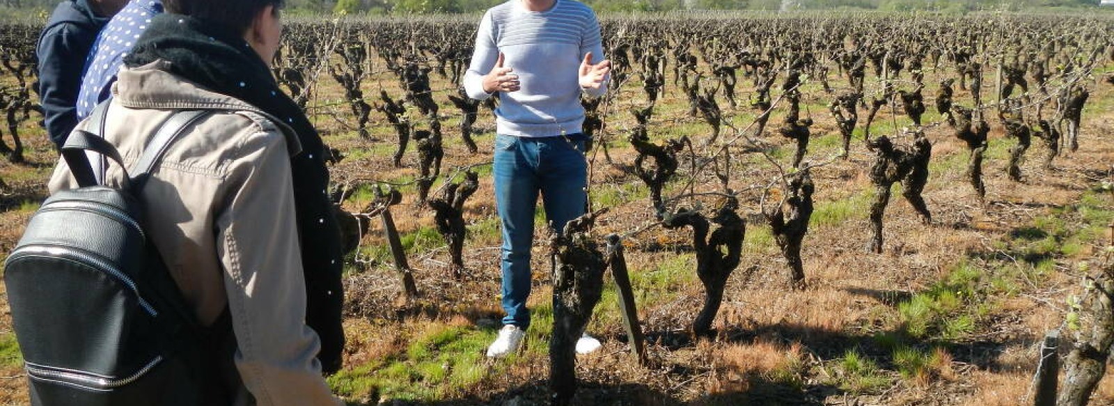 VISITE DU DOMAINE ET COURS D'OENOLOGIE AU CHATEAU DU BOIS HUAUT