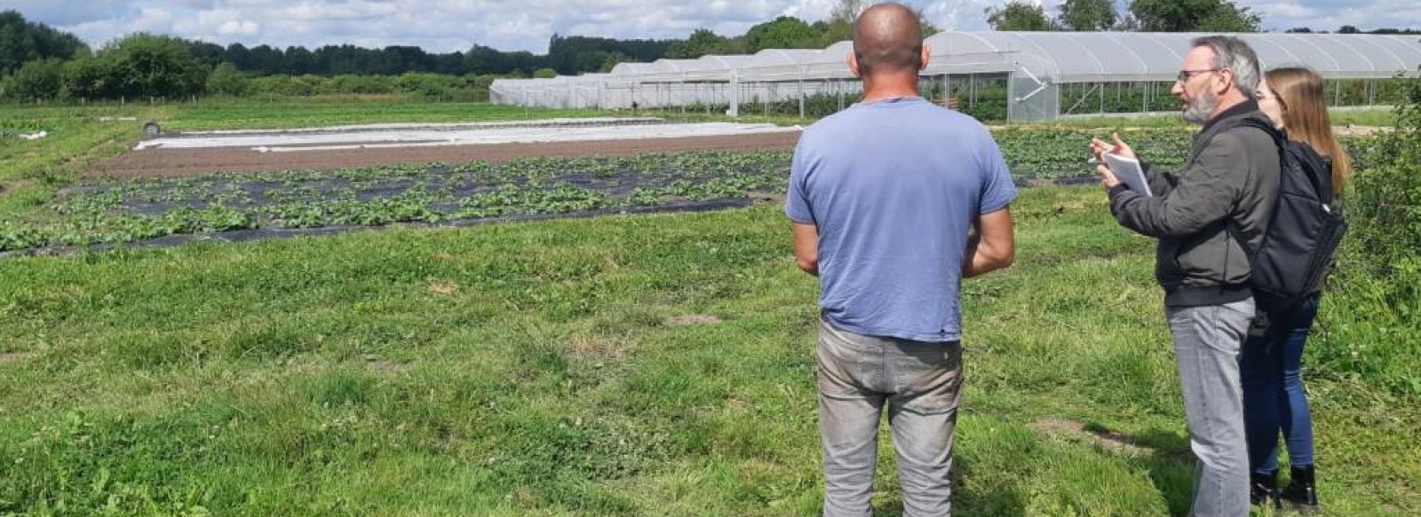 Potager de la Grande Maison