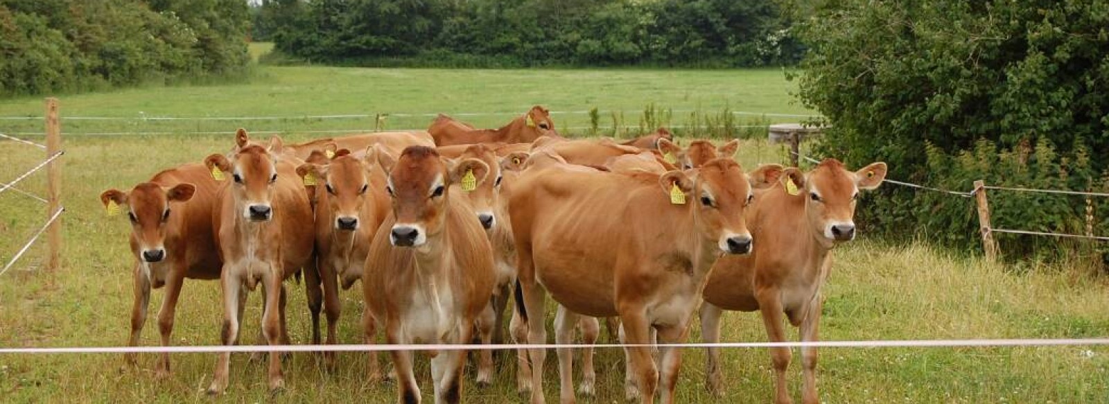 Ferme de la Vannerie