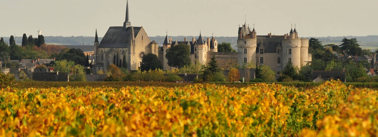 Domaine du Chateau de Montreuil-Bellay