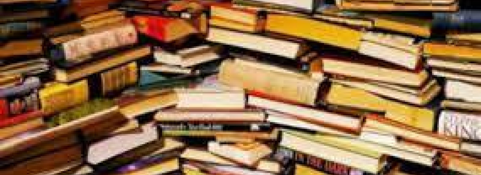 Vide livres convivial