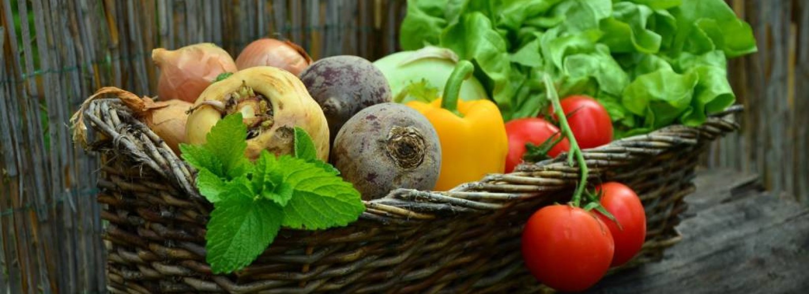 MARCHE DE PRODUCTEURS EN ANJOU BLEU - JUVARDEIL