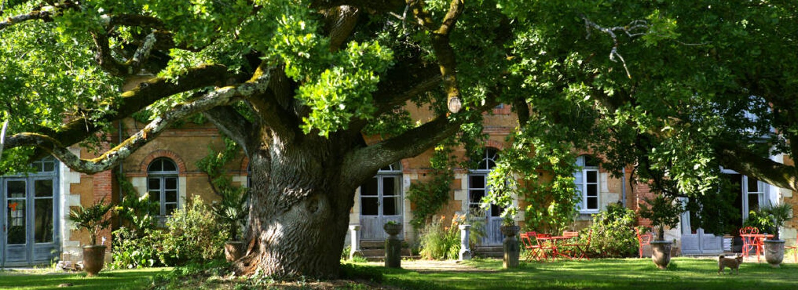 GITES AU CHATEAU DE CHAMBIERS