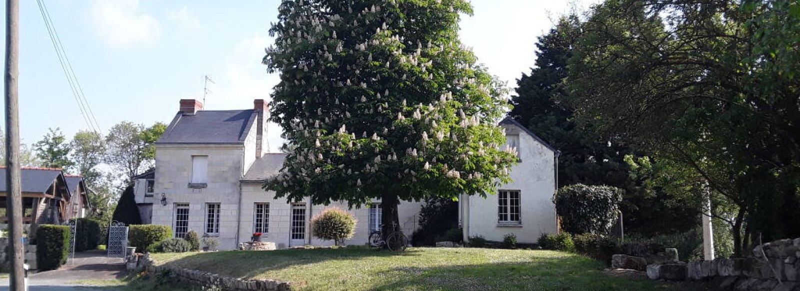 Chambres d'hotes L'Ile du Saule