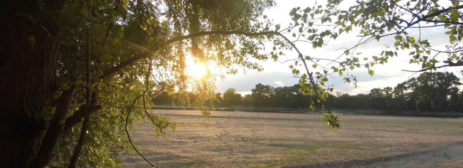 GITE DES BORDS DE LOIRE