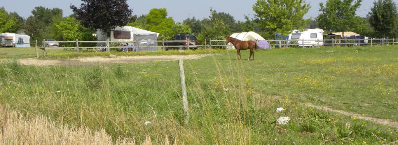 Camping du Bois Madame