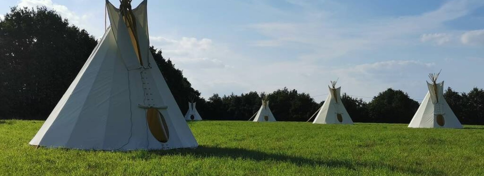 TIPIS MOHAIR DE L'ERDRE