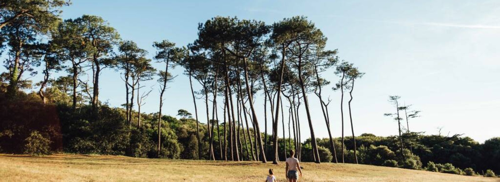 BALADE EN FORET DE LA PIERRE ATTELEE