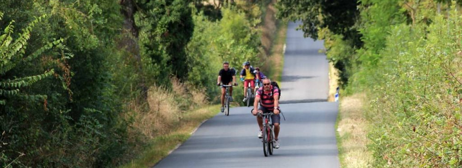 BOUCLE CIRCUITS VIGNOBLE A VELO ENTRE LOGNE ET SANGUEZE