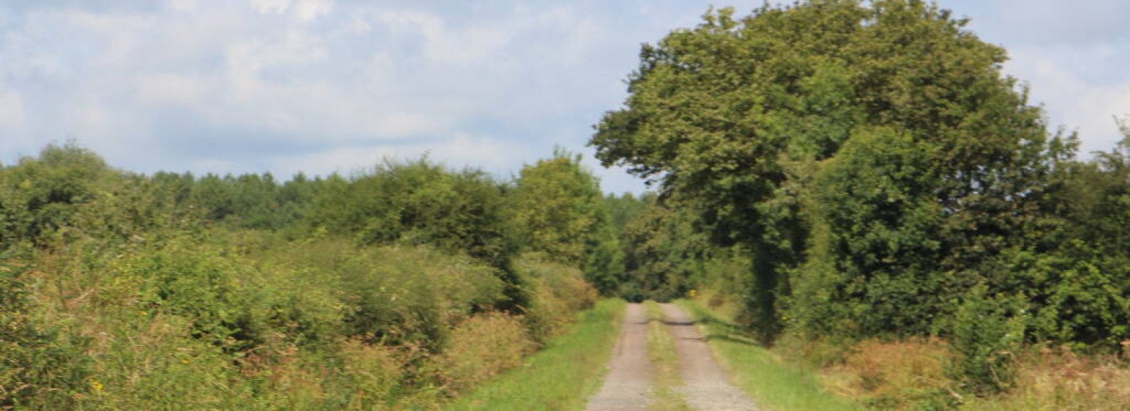 Circuit de la fontaine Cantrais - Le Pin