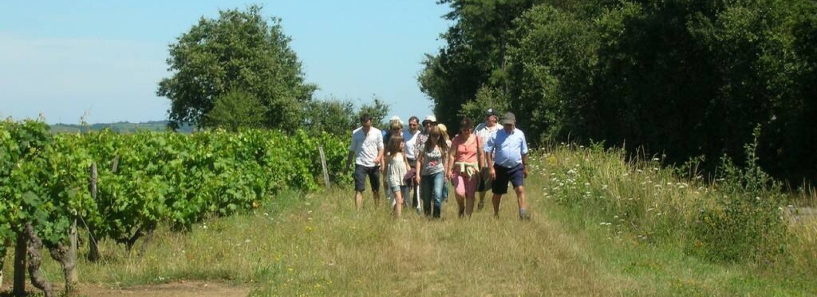 Sentier de la Foret