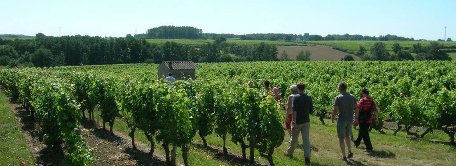 Le Circuit Patrimoine et Vignoble