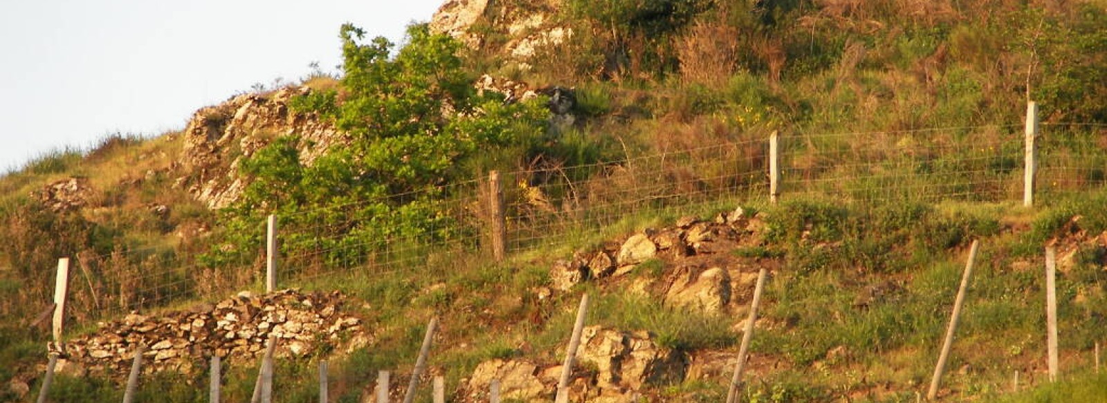 BEAULIEU SUR LAYON - CIRCUIT LPO RESERVE NATURELLE REGIONALE DU PONT BARRE