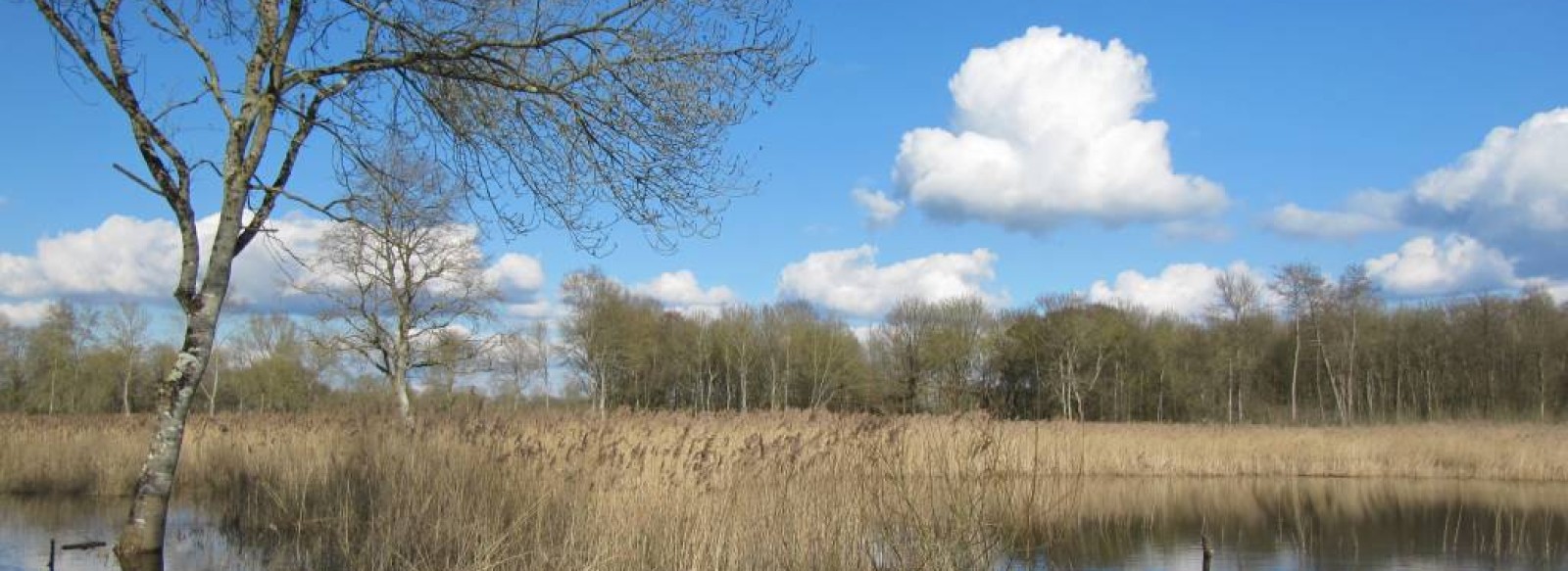 Cre-sur-Loir - le circuit bois et marais