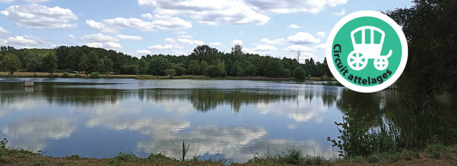 Circuit attelages du plan d'eau a Loudon - Parigne-l'Eveque