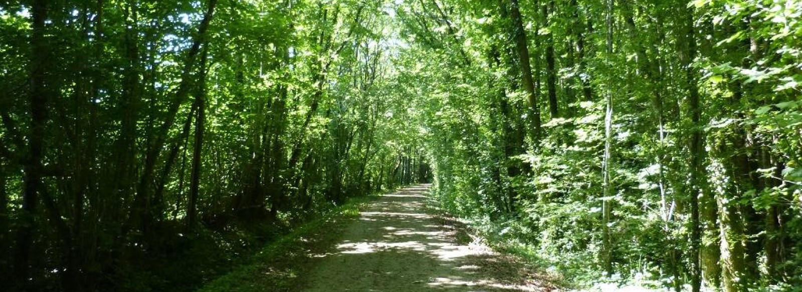 CIRCUIT PEDESTRE LE CHEMIN DE LA MINE